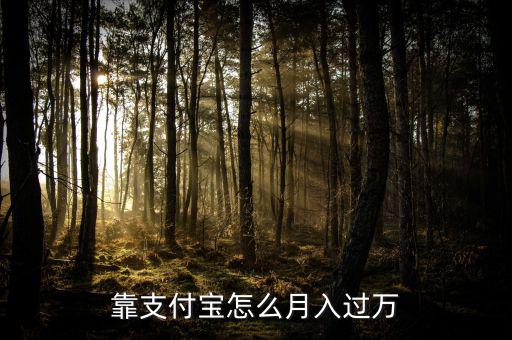 支付寶是怎么賺錢(qián),如何通過(guò)支付寶賺錢(qián)呢