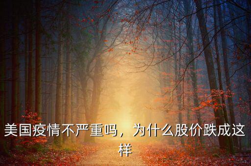 美國疫情不嚴(yán)重嗎，為什么股價跌成這樣