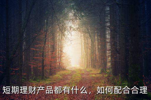 短期理財產(chǎn)品都有什么，如何配合合理