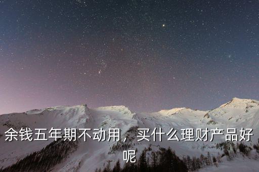 余錢五年期不動用，買什么理財(cái)產(chǎn)品好呢
