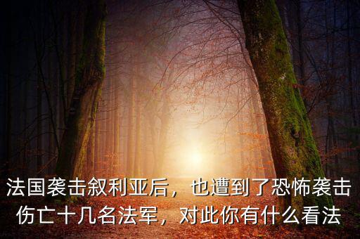 法國襲擊敘利亞后，也遭到了恐怖襲擊傷亡十幾名法軍，對此你有什么看法