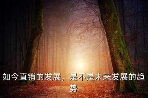 如今直銷的發(fā)展，是不是未來(lái)發(fā)展的趨勢(shì)