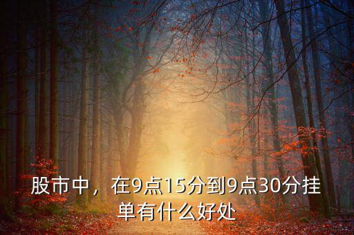 股市中，在9點15分到9點30分掛單有什么好處
