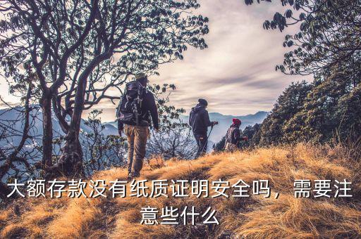 大額存款沒有紙質證明安全嗎，需要注意些什么