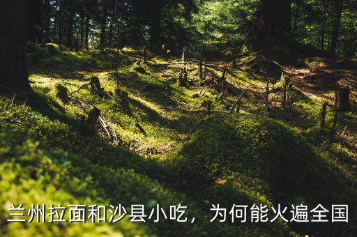 蘭州拉面和沙縣小吃，為何能火遍全國(guó)