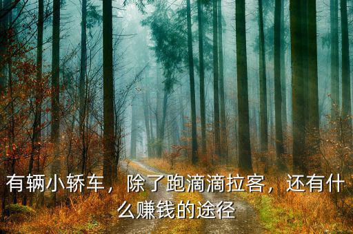 有輛小轎車，除了跑滴滴拉客，還有什么賺錢的途徑