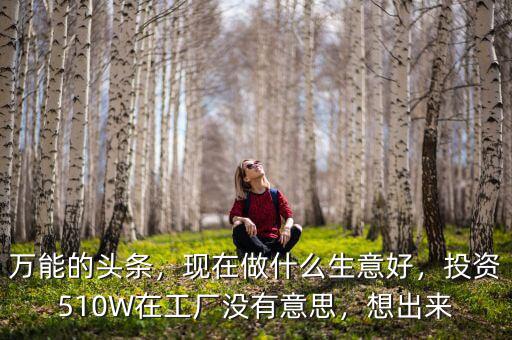 萬(wàn)能的頭條，現(xiàn)在做什么生意好，投資510W在工廠沒(méi)有意思，想出來(lái)