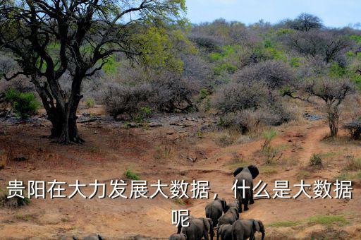 貴陽(yáng)在大力發(fā)展大數(shù)據(jù)，什么是大數(shù)據(jù)呢