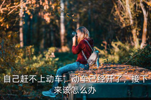 自己趕不上動車，動車已經(jīng)開了，接下來該怎么辦