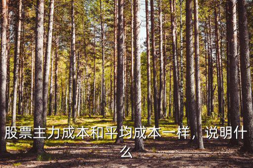 股票主力成本和平均成本一樣，說明什么