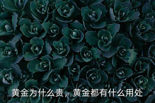 黃金為什么貴，黃金都有什么用處