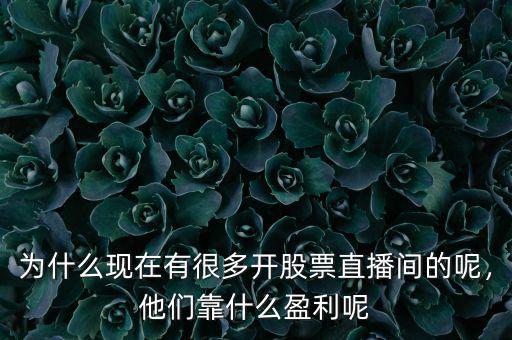 為什么現在有很多開股票直播間的呢，他們靠什么盈利呢