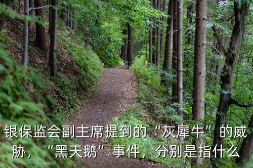 銀保監(jiān)會副主席提到的“灰犀?！钡耐{，“黑天鵝”事件，分別是指什么
