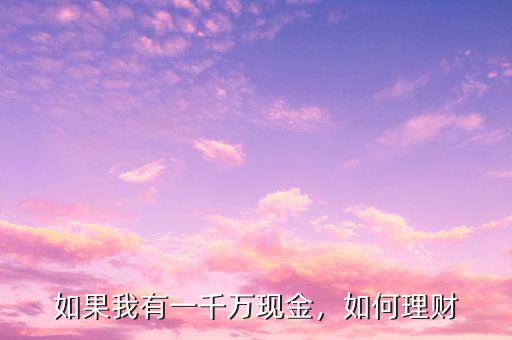 如果我有一千萬現(xiàn)金，如何理財