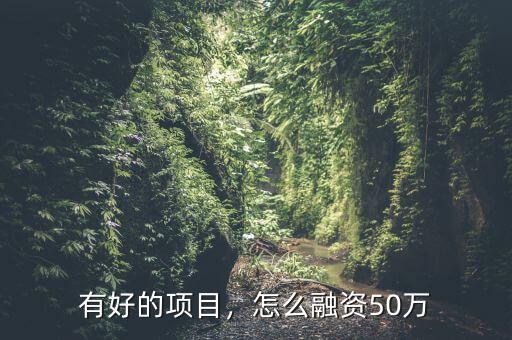 有好的項目，怎么融資50萬