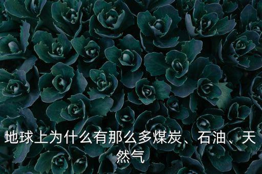 地球上為什么有那么多煤炭、石油、天然氣