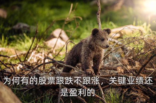 為何有的股票跟跌不跟漲，關(guān)鍵業(yè)績(jī)還是盈利的