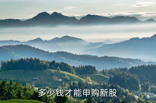 多少錢(qián)才能申購(gòu)新股