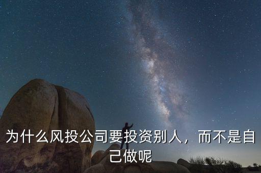 為什么風投公司要投資別人，而不是自己做呢