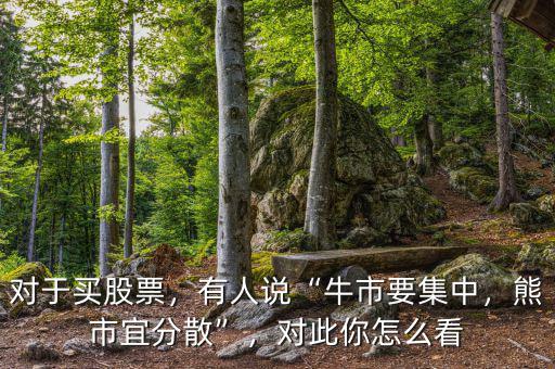 對(duì)于買股票，有人說“牛市要集中，熊市宜分散”，對(duì)此你怎么看