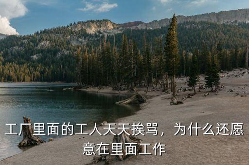 工廠里面的工人天天挨罵，為什么還愿意在里面工作