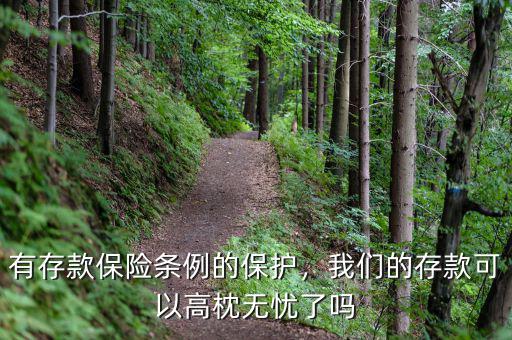 有存款保險條例的保護，我們的存款可以高枕無憂了嗎