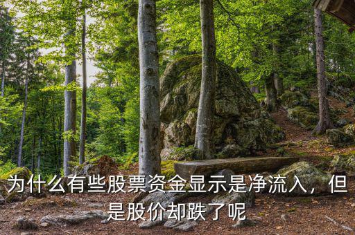 為什么有些股票資金顯示是凈流入，但是股價(jià)卻跌了呢