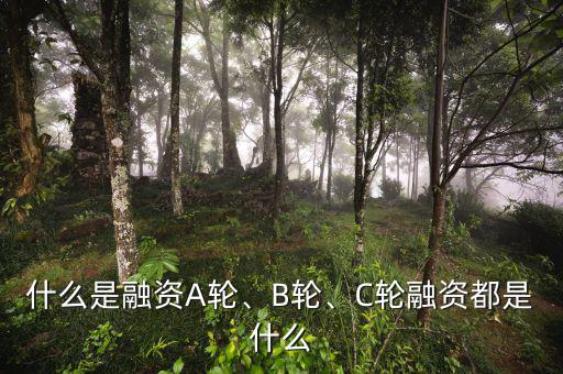 什么是融資A輪、B輪、C輪融資都是什么