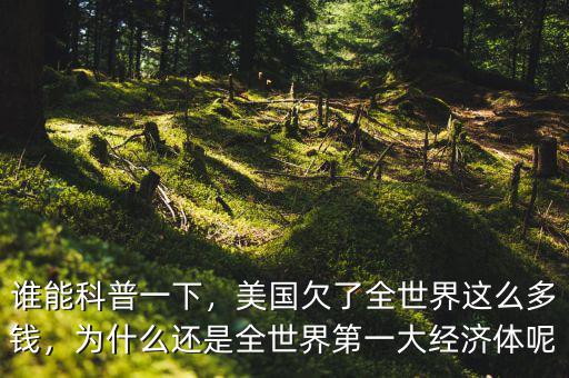 誰能科普一下，美國欠了全世界這么多錢，為什么還是全世界第一大經(jīng)濟體呢
