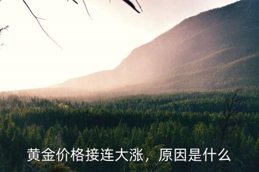 黃金價(jià)格接連大漲，原因是什么