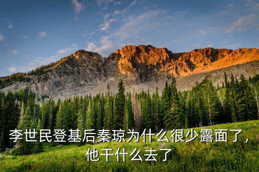 李世民登基后秦瓊為什么很少露面了，他干什么去了