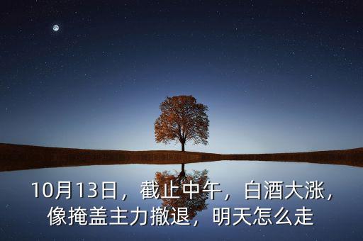 10月13日，截止中午，白酒大漲，像掩蓋主力撤退，明天怎么走