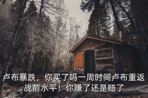 盧布暴跌，你買了嗎一周時間盧布重返戰(zhàn)前水平！你賺了還是賠了