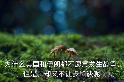 為什么美國和伊朗都不愿意發(fā)生戰(zhàn)爭，但是，卻又不讓步和談呢