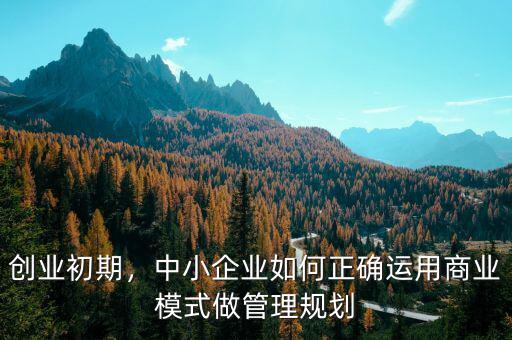 創(chuàng)業(yè)初期，中小企業(yè)如何正確運用商業(yè)模式做管理規(guī)劃