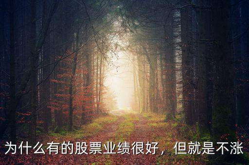 為什么有的股票業(yè)績很好，但就是不漲