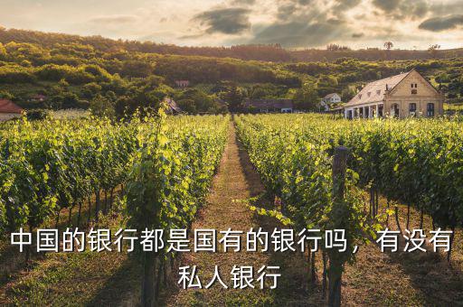 中國的銀行都是國有的銀行嗎，有沒有私人銀行