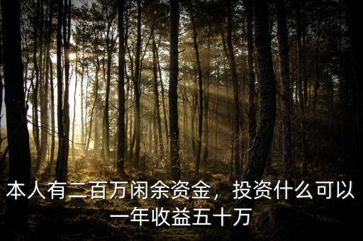 本人有二百萬閑余資金，投資什么可以一年收益五十萬