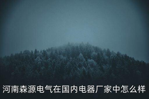 河南森源電氣在國內電器廠家中怎么樣
