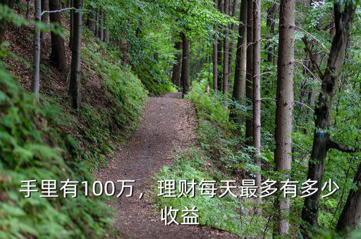 手里有100萬(wàn)，理財(cái)每天最多有多少收益