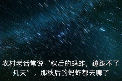 農(nóng)村老話常說“秋后的螞蚱，蹦跶不了幾天”，那秋后的螞蚱都去哪了