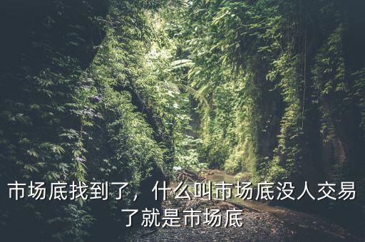 市場底找到了，什么叫市場底沒人交易了就是市場底