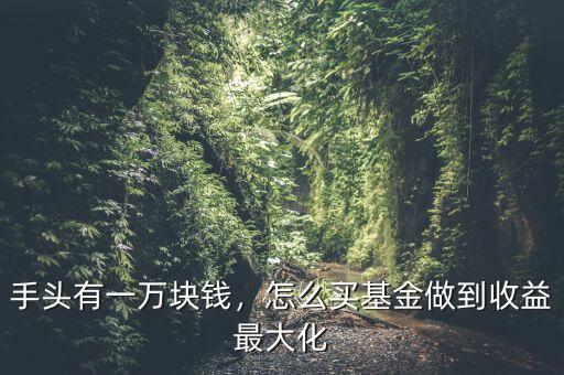 手頭有一萬(wàn)塊錢，怎么買基金做到收益最大化