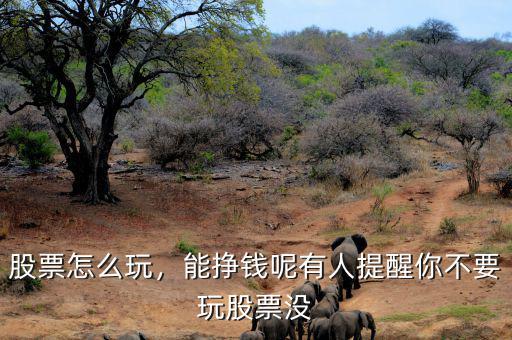 股票怎么玩，能掙錢呢有人提醒你不要玩股票沒(méi)