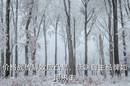 價格戰(zhàn)傳導效應凸顯，低端自主品牌如何求生
