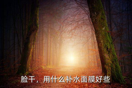 臉干，用什么補(bǔ)水面膜好些