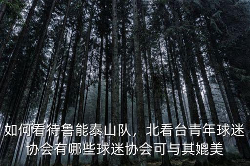 如何看待魯能泰山隊(duì)，北看臺青年球迷協(xié)會有哪些球迷協(xié)會可與其媲美