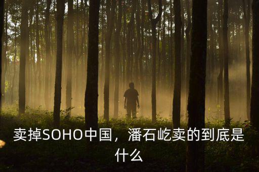 賣(mài)掉SOHO中國(guó)，潘石屹賣(mài)的到底是什么