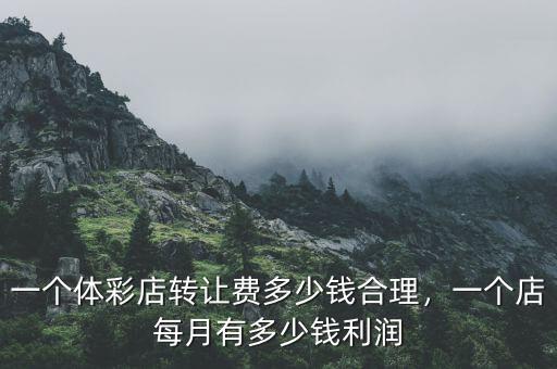 一個(gè)體彩店轉(zhuǎn)讓費(fèi)多少錢合理，一個(gè)店每月有多少錢利潤(rùn)
