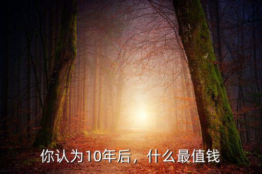 你認(rèn)為10年后，什么最值錢